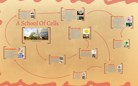 A School Of Cells by