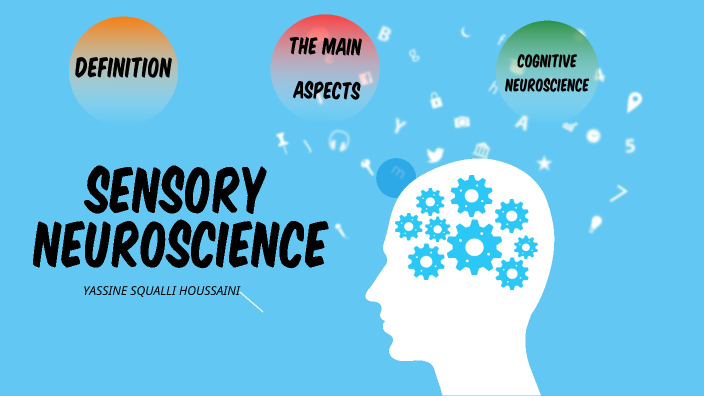 Sensory neuroscience by yassine SQUALLI HOUSSAINI on Prezi