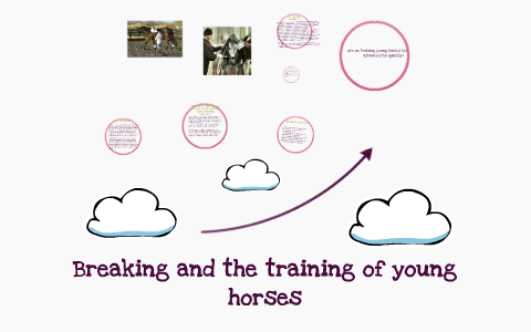 Project proposal by on Prezi
