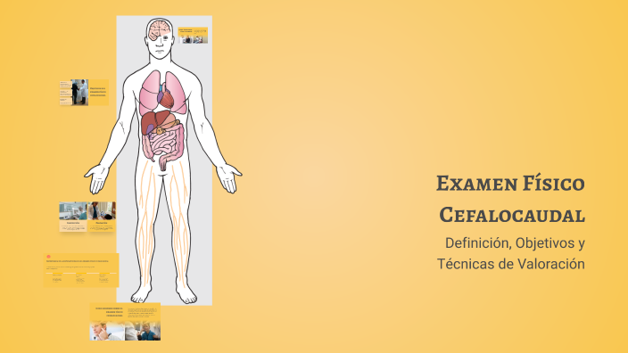 Examen Físico Cefalocaudal by Juan Jose Cardenas Enriquez [Estudiante