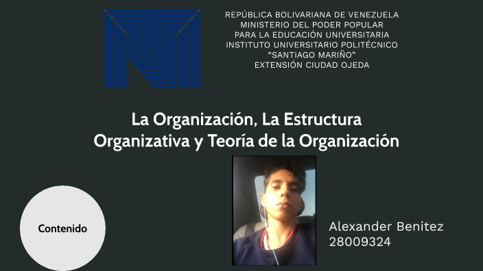 La Organizacion La Estructura Organizativa Y La Teoria De La