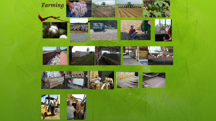 Farming by Claire Madison on Prezi