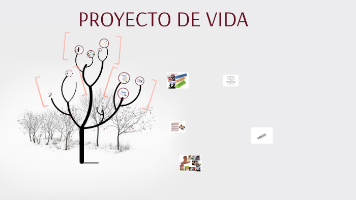 PROYECTO DE VIDA by liliana pino on Prezi