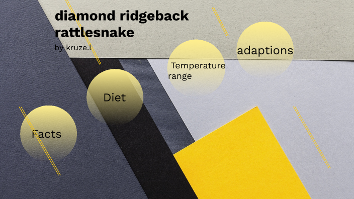 diamond ridge back presentation by kruze Lyons on Prezi