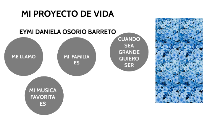mi proyecto de vida by osorio barreto on Prezi