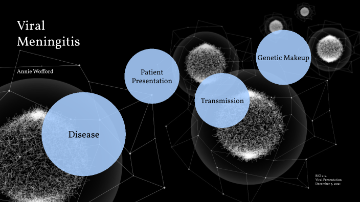 Viral Meningitis By Annie Wofford On Prezi   7xbszwol42yr5ltl3k53elu7zh6jc3sachvcdoaizecfr3dnitcq 3 0 