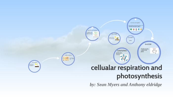 cellualr respiration and photosynthesis by sean myers on Prezi