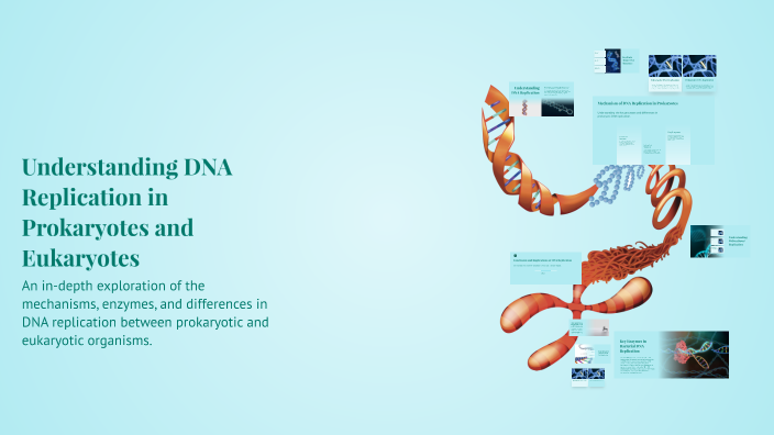 Understanding DNA Replication in Prokaryotes and Eukaryotes by ...