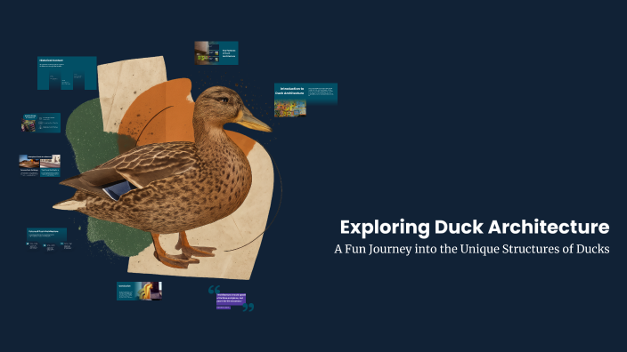 Exploring Duck Architecture by J Baten on Prezi