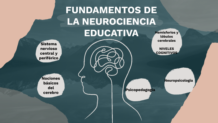 Fundamentos De La Neurociencia Educativa By Anita Diaz On Prezi 5100