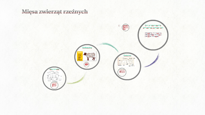 Mięsa zwierząt rzeźnych by Klaudia Gilicka on Prezi