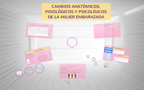 Cambios Anatómicos Fisiológicos Y Psicolígicos De La Mujer