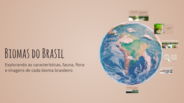 Biomas do Brasil by Pedro Jacinto on Prezi