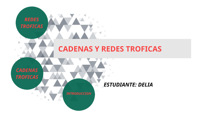 CADENA Y REDES TROFICAS By Delia Quispe On Prezi