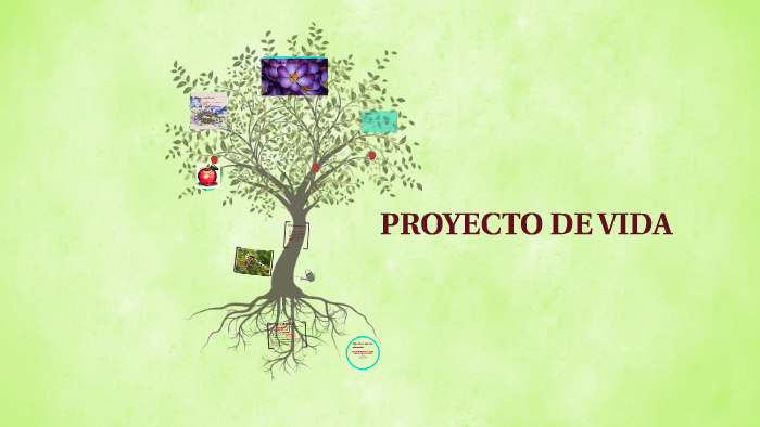 PROYECTO DE VIDA by Brenda Gomez on Prezi