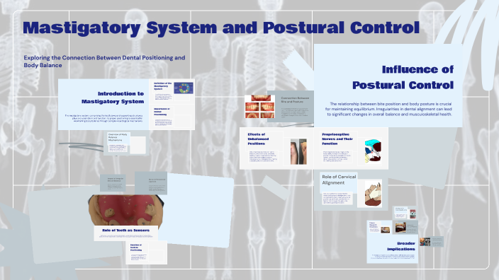 Mastigatory System and Postural Control by Rodrigo Albuquerque on Prezi