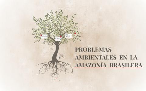 PROBLEMAS AMBIENTALES EN LA AMAZONÍA BRASILERA by Santi Peña on Prezi
