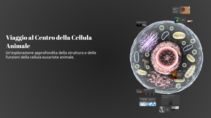 Viaggio al Centro della Cellula Animale 🧬 by Matteo Camilli on Prezi
