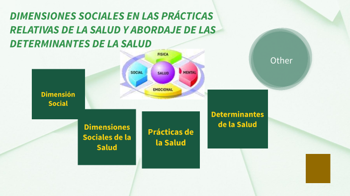 DIMENSIONES SOCIALES EN LAS PRÁCTICAS RELATIVAS DE LA SALUD Y ABORDAJE ...