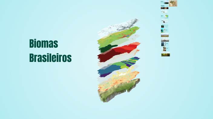 Biomas Brasileiros by vagner aranda on Prezi