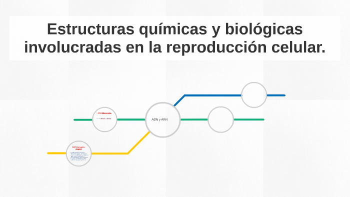 Estructuras químicas y biológicas involucradas en la reprodu by Marian