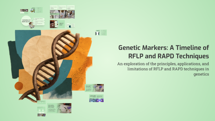 Genetic Markers: A Timeline of RFLP and RAPD Techniques by Aboalmagd ...
