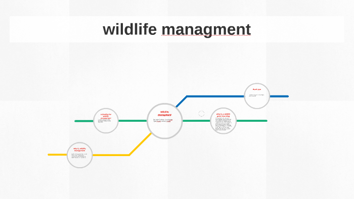 wildlife managment by skye jackson on Prezi