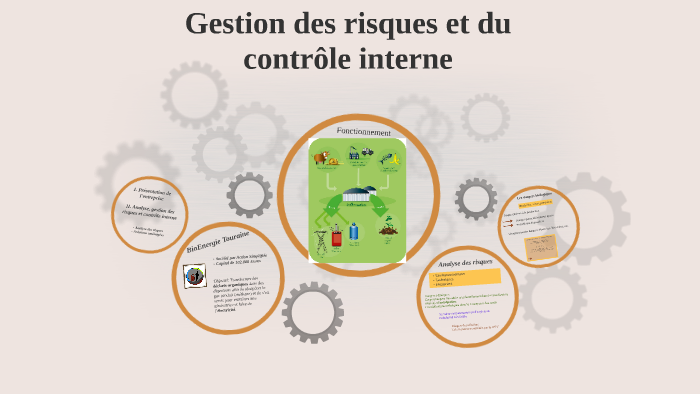 Gestion des risques et du contrôle interne by Maria Maria on Prezi