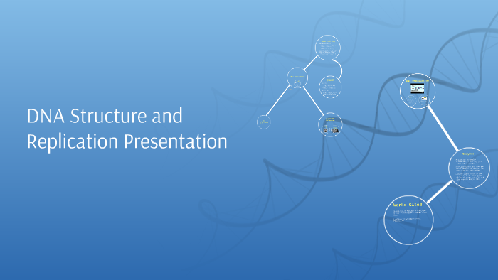 DNA Structure and Replication Presentation by Ireland Majewski on Prezi