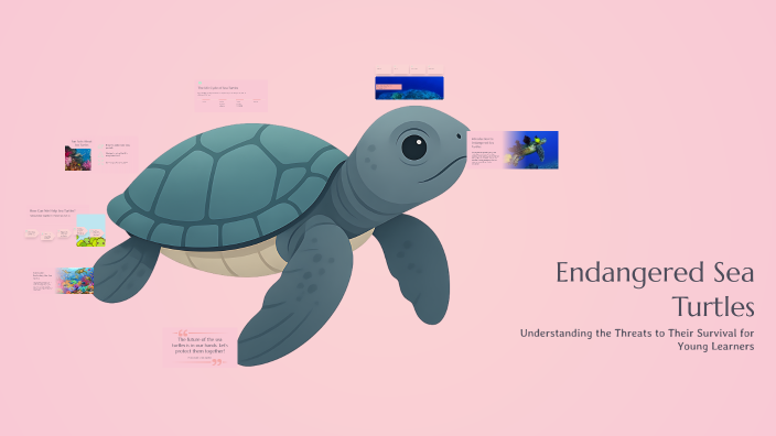 Endangered Sea Turtles by Florence Slater on Prezi