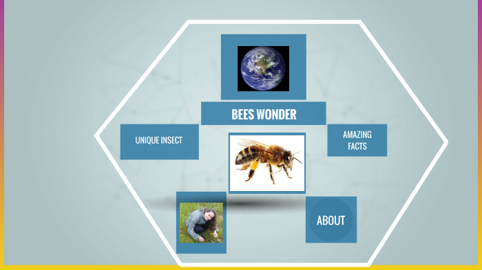 bee & the world by Linda Moldovan on Prezi
