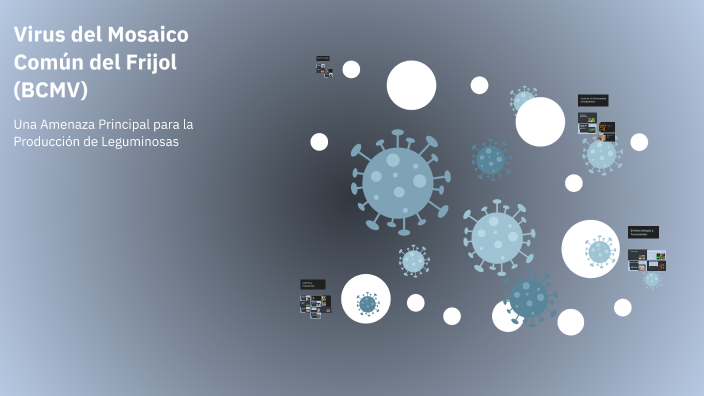Virus del Mosaico Común del Frijol (BCMV) by Jorge Luis Rodriguez ...
