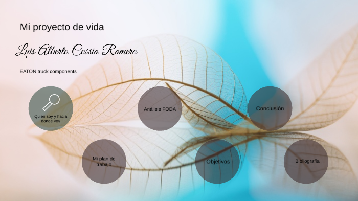 Mi proyecto de vida by luis alberto on Prezi