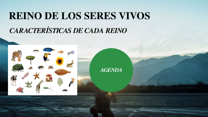 REINO DE LOS SERES VIVOS by Reychell Abarca Zeledón on Prezi