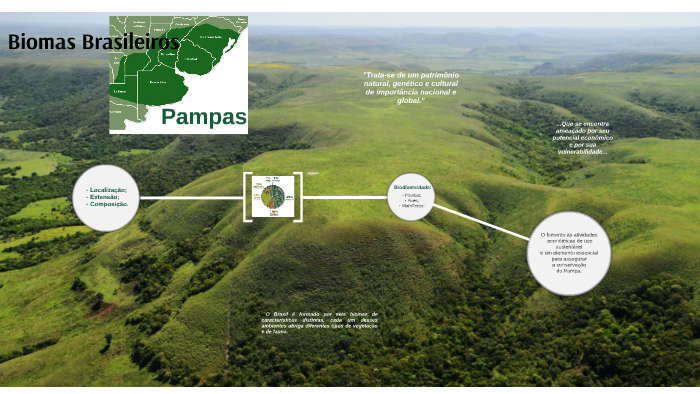 Biomas Brasileiros by Juliana Aparecida Marchetti on Prezi