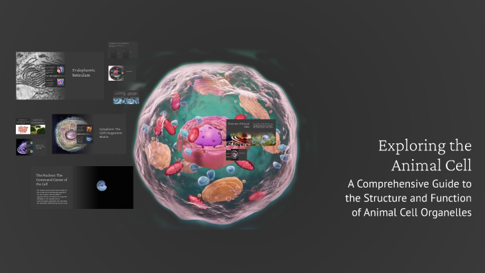 Exploring the Animal Cell by Sanjay Gupta on Prezi