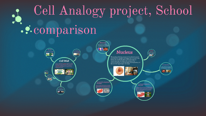 Cell Analogy project, School comparison by on Prezi
