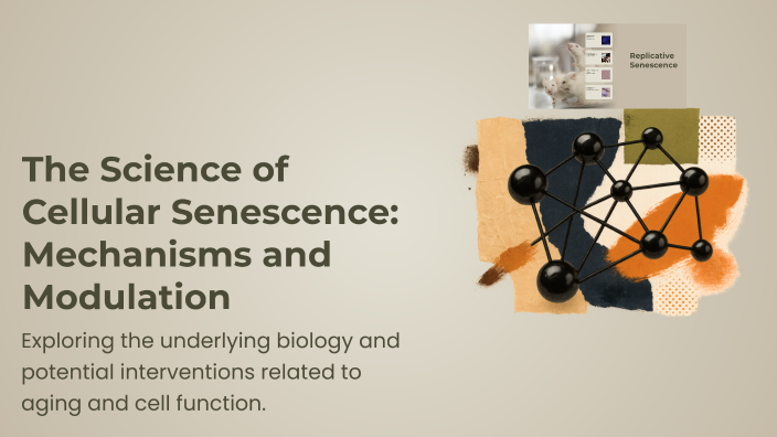 The Science of Cellular Senescence: Mechanisms and Modulation by YING ...