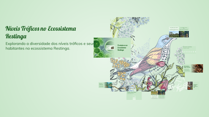 Níveis Tróficos no Ecossistema Restinga by Edijani carvalho on Prezi