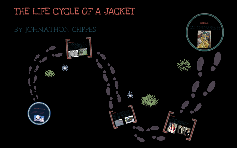 The life cycle of cows by Johnathon Crippes on Prezi