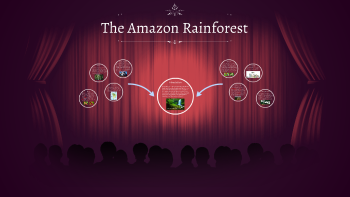 The Amazon Rainforest by Aliyah Mohammed on Prezi