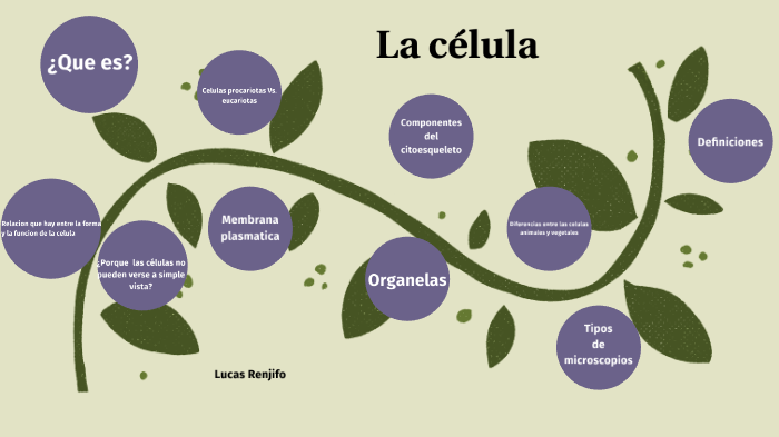 LA CELULA by Natalia Trujillo on Prezi
