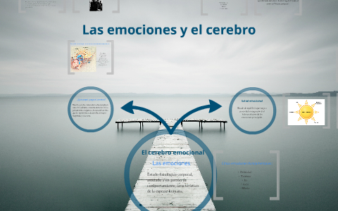 El cerebro emocional. by Lucía Galindo Santos on Prezi