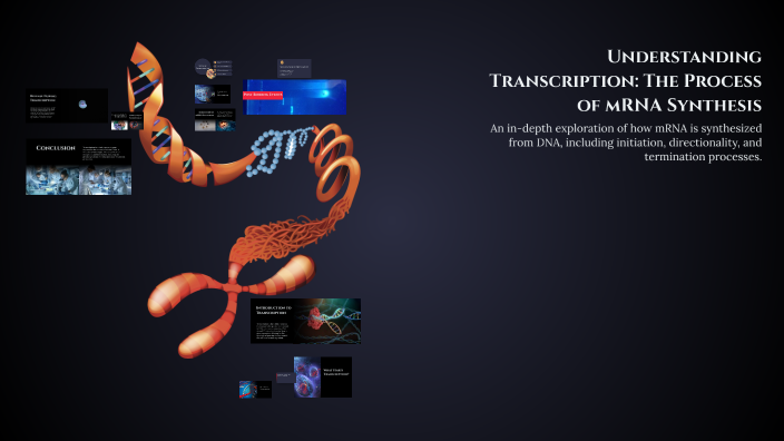 Understanding Transcription: The Process of mRNA Synthesis by Brian ...