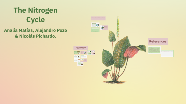 Understanding the Nitrogen Cycle by Analia Matias on Prezi