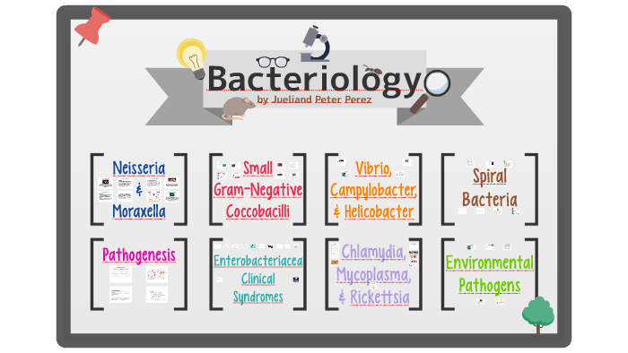 Bacteriology Report by Jueliand Peter Perez