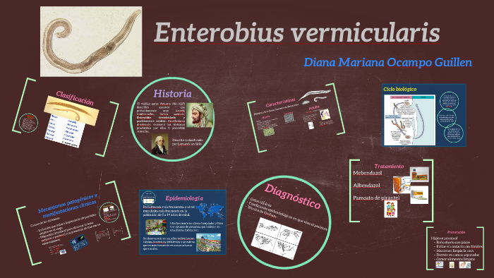 enterobius vermicularis historia)