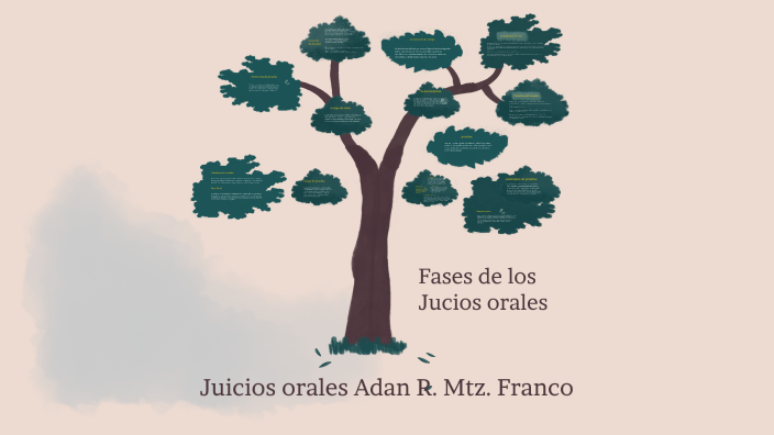 Fases Del Juicio Oral By Adan Ricardo Martinez Franco On Prezi