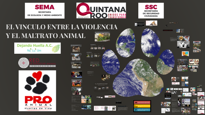 1er Acuerdo por el Bienestar Animal de Quintana Roo by ivette Porras on ...