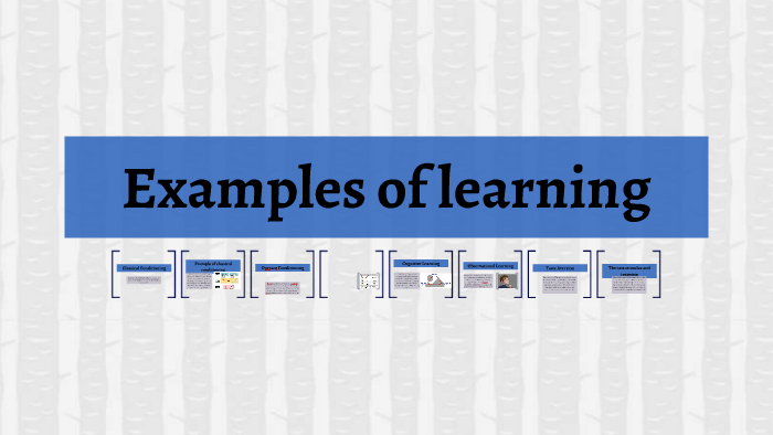 examples-of-learning-by-cameron-valenzuela